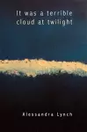 It was a terrible cloud at twilight cover