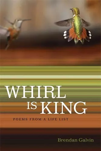 Whirl Is King cover