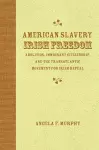 American Slavery, Irish Freedom cover