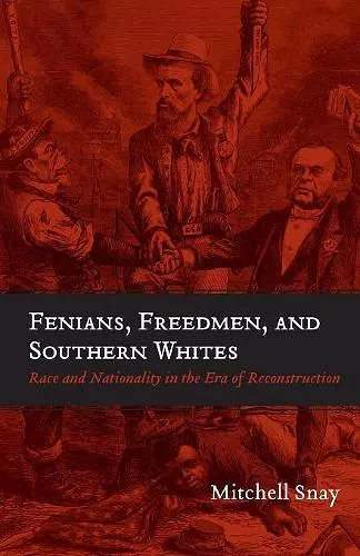 Fenians, Freedmen, and Southern Whites cover