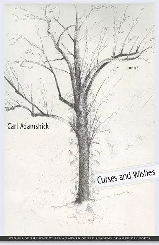 Curses and Wishes cover