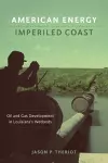 American Energy, Imperiled Coast cover