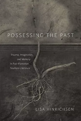 Possessing the Past cover