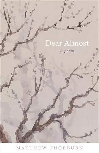 Dear Almost cover