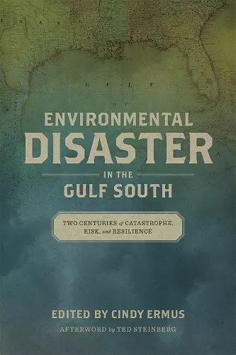 Environmental Disaster in the Gulf South cover