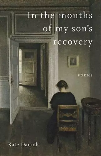 In the Months of My Son's Recovery cover