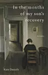 In the Months of My Son's Recovery cover