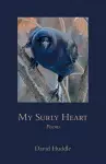 My Surly Heart cover