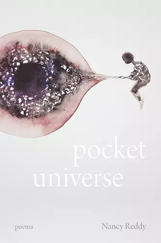 Pocket Universe cover