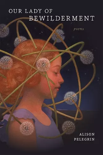 Our Lady of Bewilderment cover