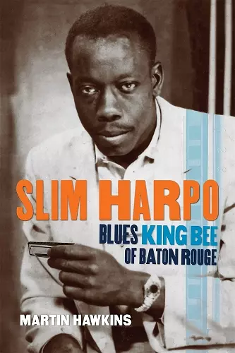 Slim Harpo cover