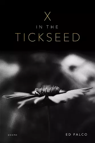 X in the Tickseed cover
