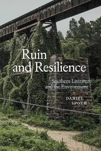 Ruin and Resilience cover