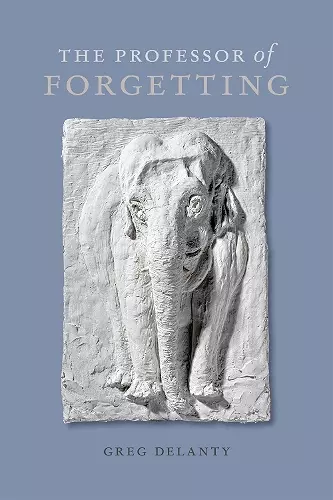 The Professor of Forgetting cover