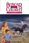 The Mystery of the Wild Ponies cover
