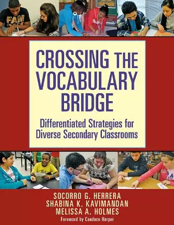 Crossing the Vocabulary Bridge cover