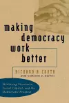 Making Democracy Work Better cover