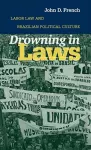 Drowning in Laws cover