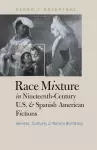 Race Mixture in Nineteenth-Century U.S. and Spanish American Fictions cover