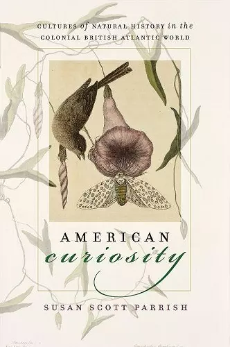 American Curiosity cover