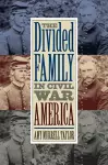 The Divided Family in Civil War America cover