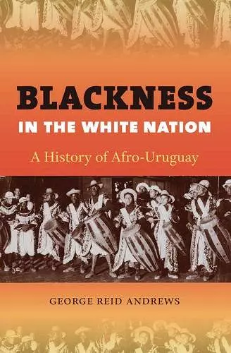 Blackness in the White Nation cover
