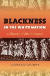Blackness in the White Nation cover