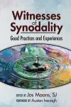 Witnesses of Synodality cover