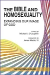 The Bible and Homosexuality cover