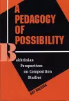 A Pedagogy of Possibility cover