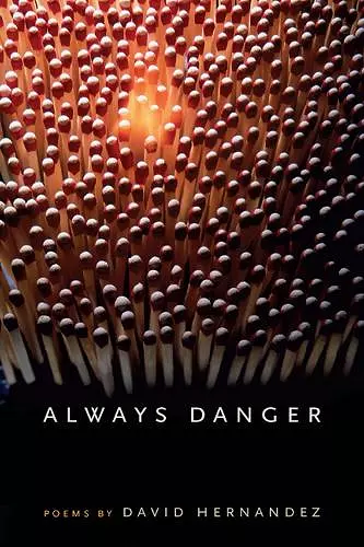 Always Danger cover