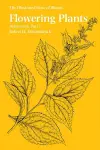 Flowering Plants cover