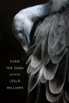 Even the Dark cover