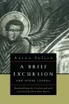 A Brief Excursion and Other Stories cover