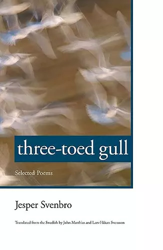 Three-toed Gull cover