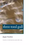 Three-toed Gull cover