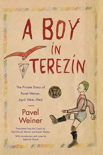 A Boy in Terezin cover