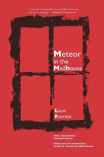 Meteor In The Madhouse cover