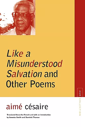 Like a Misunderstood Salvation and Other Poems cover