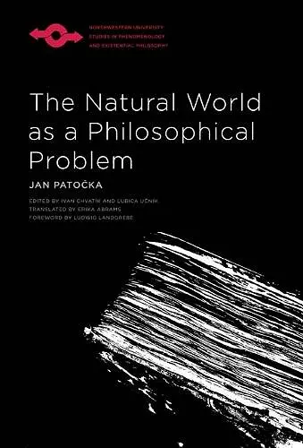 The Natural World As a Philosophical Problem cover