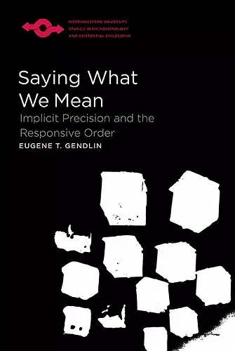 Saying What We Mean cover