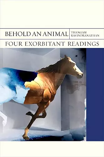 Behold an Animal cover