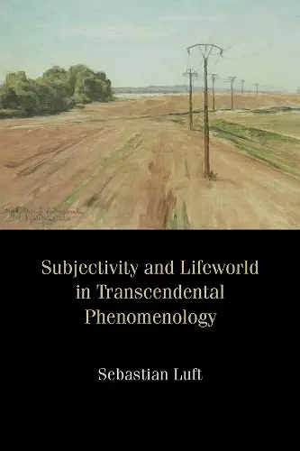 Subjectivity and Lifeworld in Transcendental Phenomenology cover