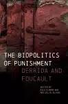 The Biopolitics of Punishment cover