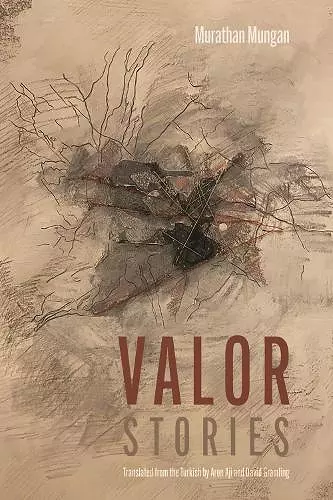 Valor cover