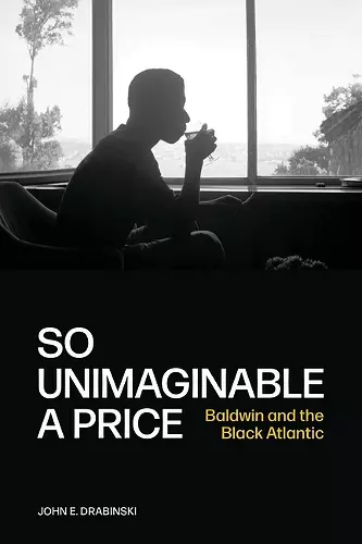 So Unimaginable a Price cover