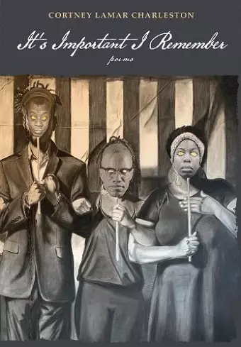 It's Important I Remember cover