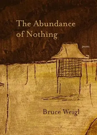 The Abundance of Nothing cover
