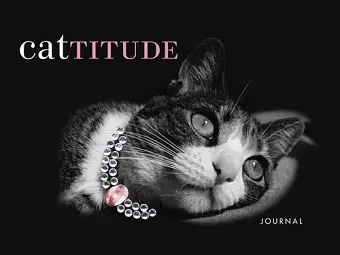 Cattitude Journal cover