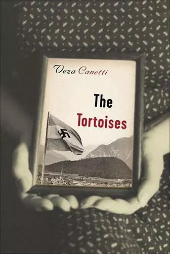 The Tortoises cover